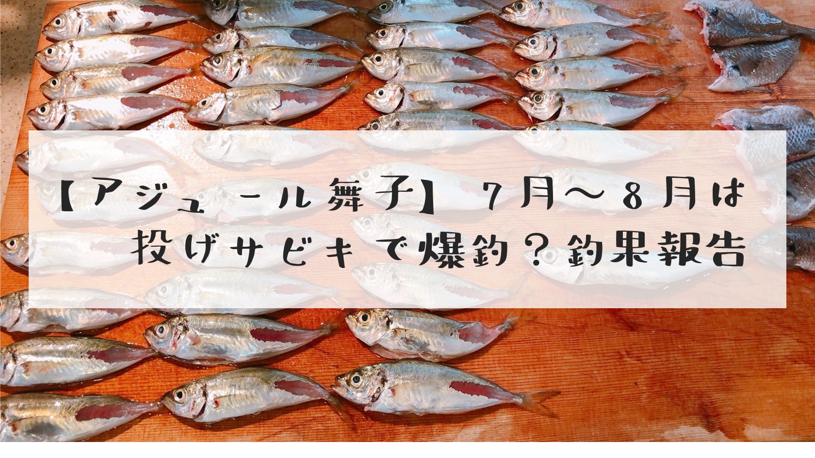 アジュール舞子 7月 8月は投げサビキで爆釣 釣果報告 ありとろぐ アジュール舞子 7月 8月は投げサビキで爆釣 釣果報告 ありとろぐ