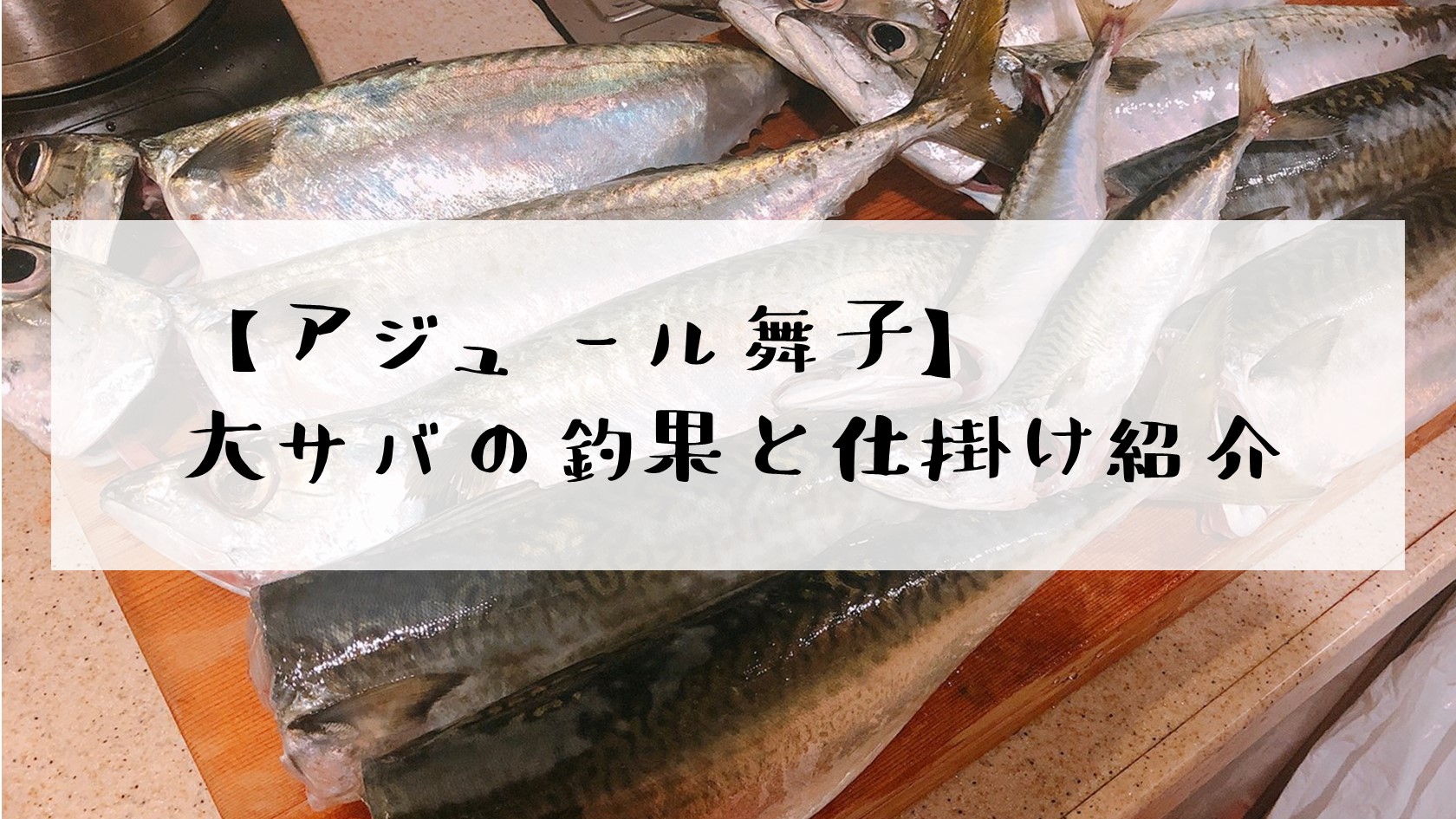 アジュール舞子　大サバ　釣果　仕掛け