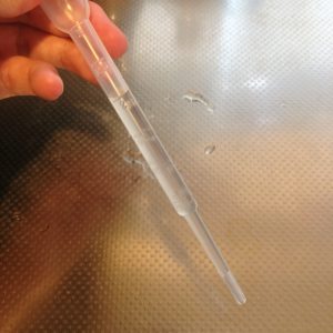 ハダニ アブラムシ駆除 確実に仕留めたい私の手作り無農薬殺虫剤 ありとろぐ
